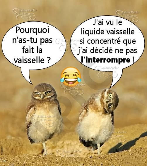 vaisselle.jpg