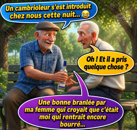 cambrioleur.jpg