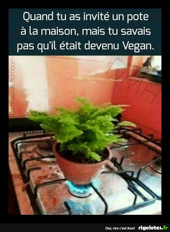 vegan.jpg