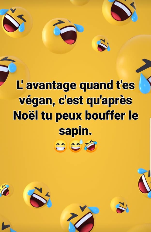 sapin vegan.jpg