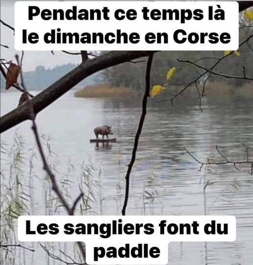 dimanche.jpg