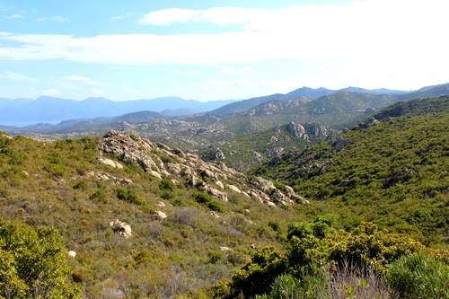 quelque part dans le maquis corse
