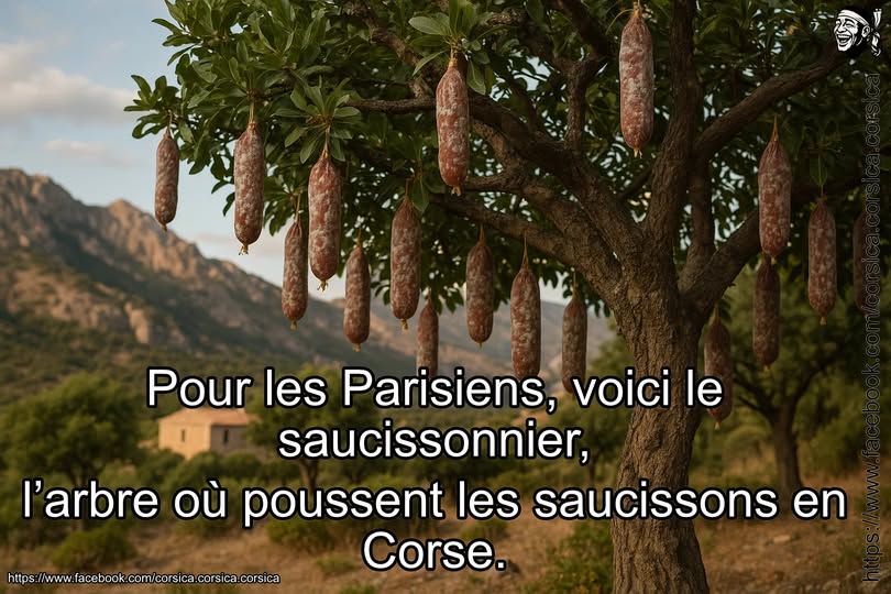 saucissons corse.jpg