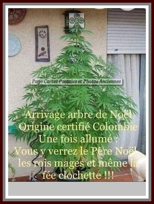 arbre noel.jpg