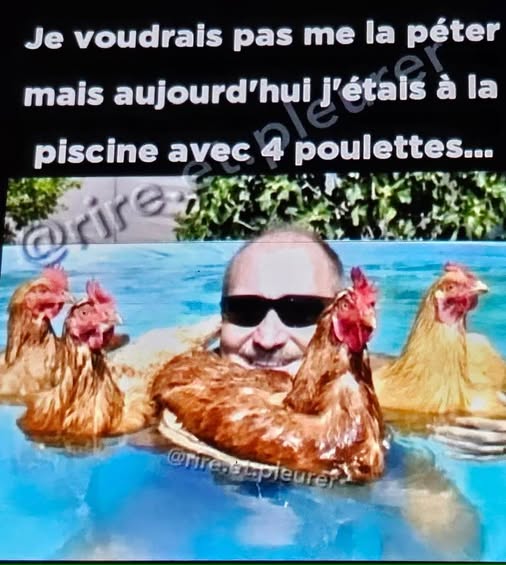 piscine.jpg