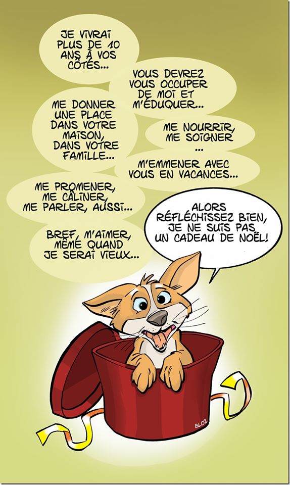 cadeaux de noel.jpg