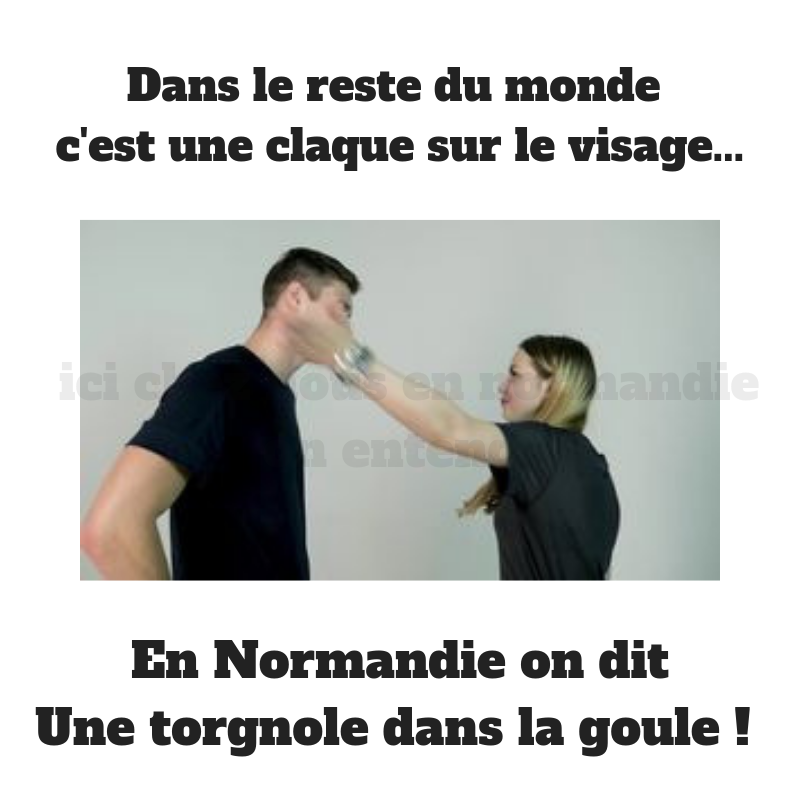 torgnole.png