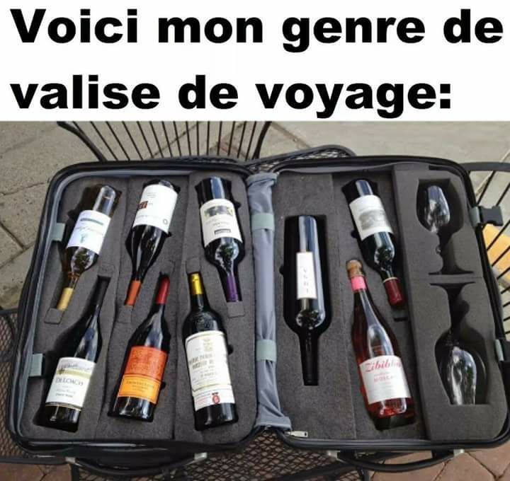 ma valise de voyage.jpg