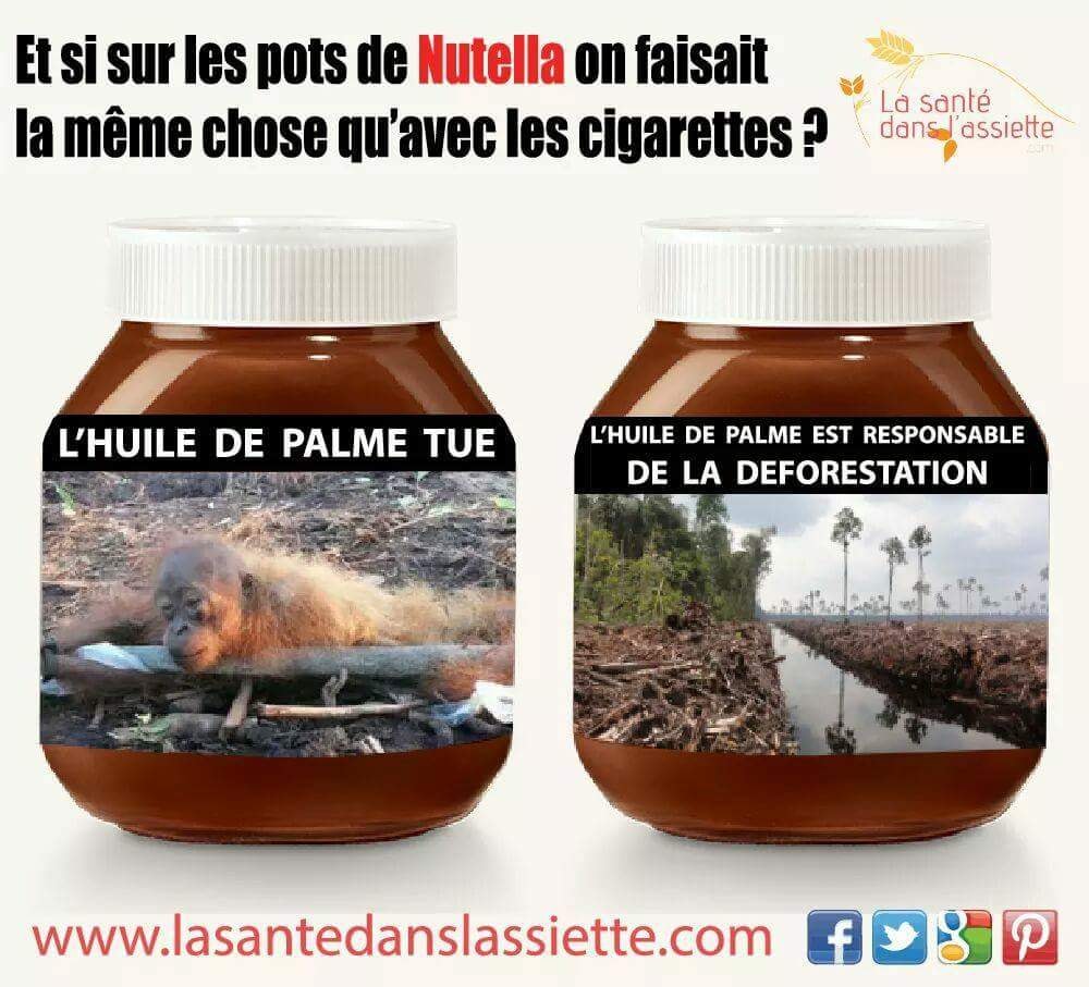 huile palme.jpg