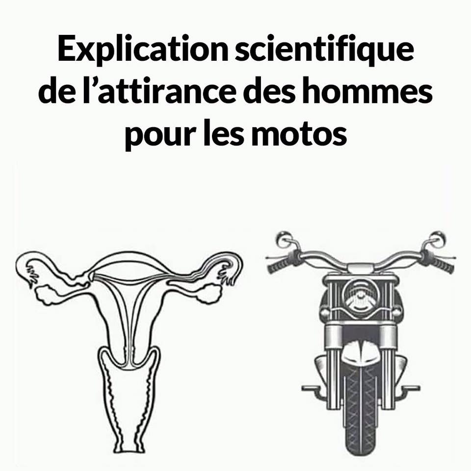 attirance des hommes.jpg
