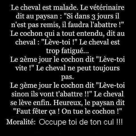 cheval malade.jpg
