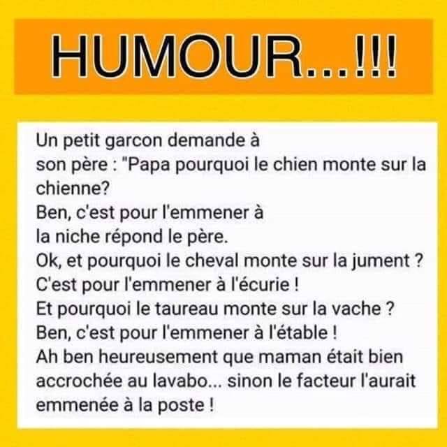 pourquoi pourquoi.jpg