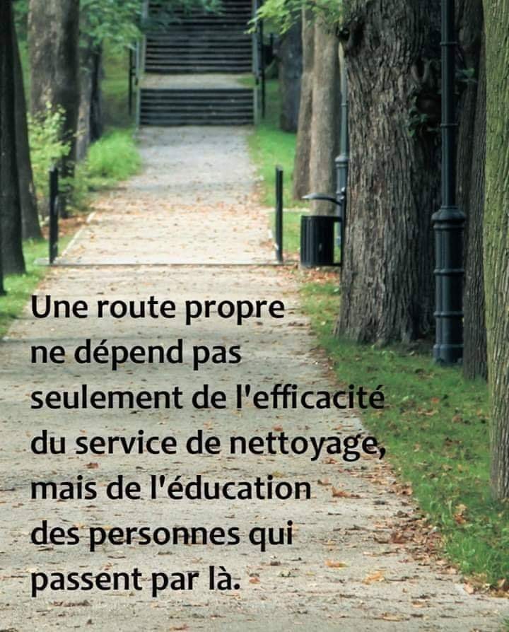 route propre.jpg