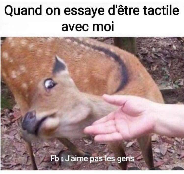 j'aime pas.jpg