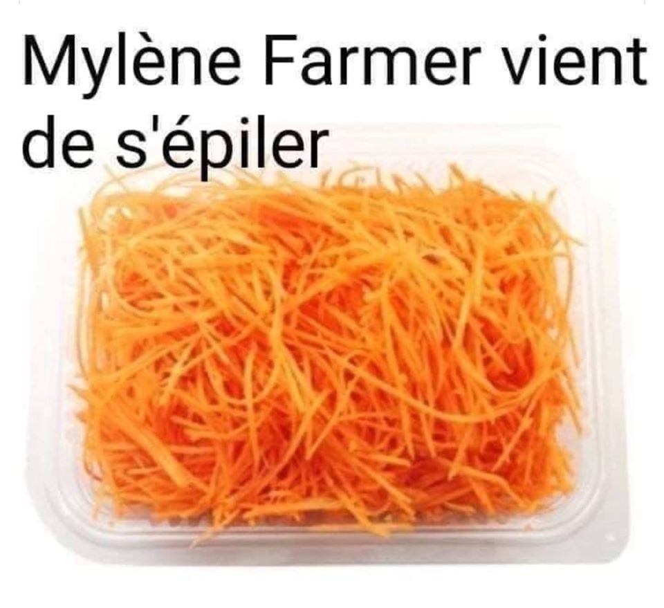 mylene farmer.jpg