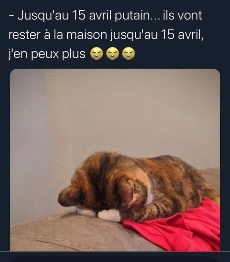 jusqu'au 15 avril.jpg