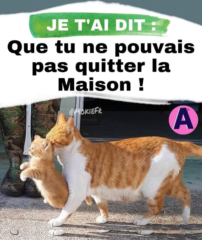 quitter la maison.jpg