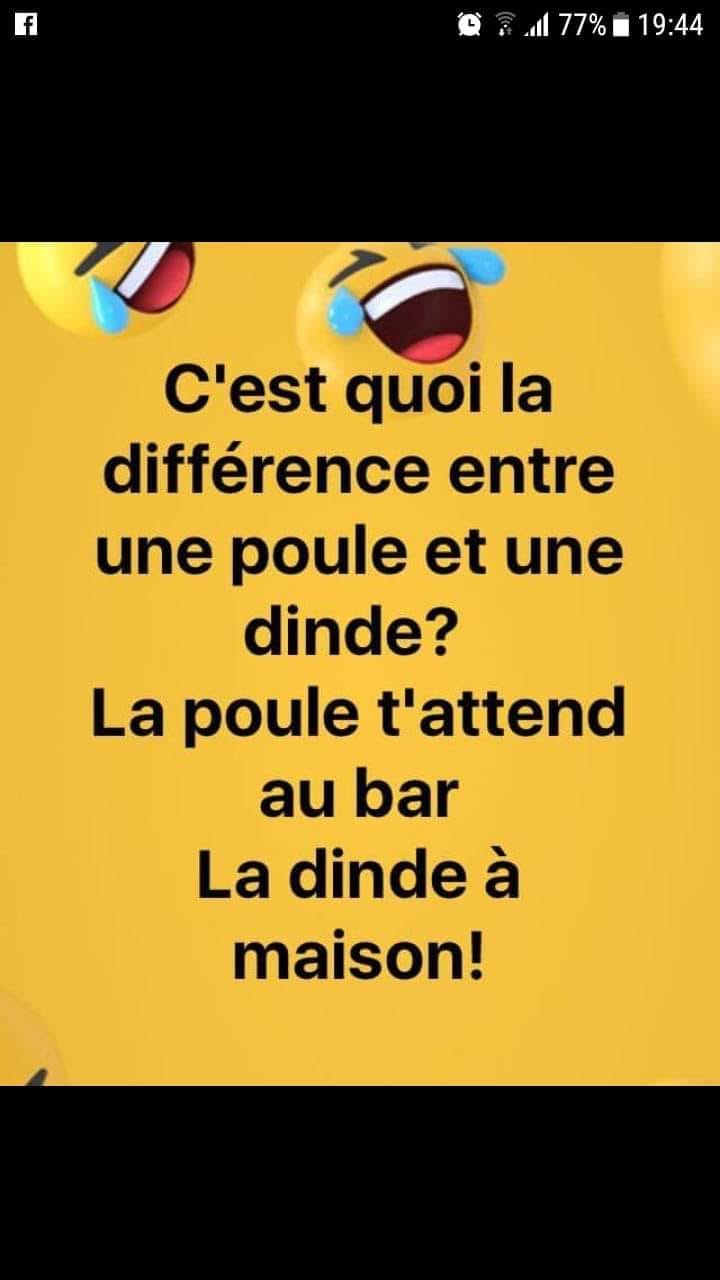 poule.jpg