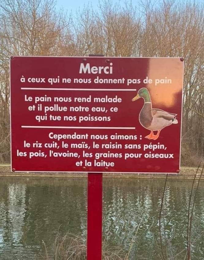 merci.jpg