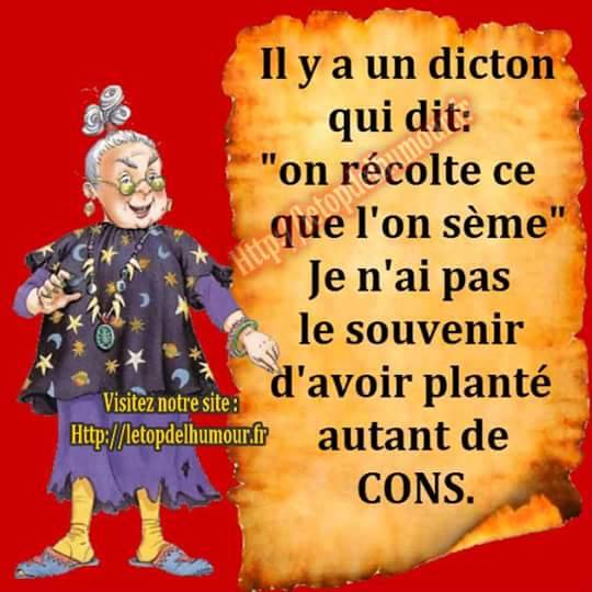 planter autant!!!!.jpg