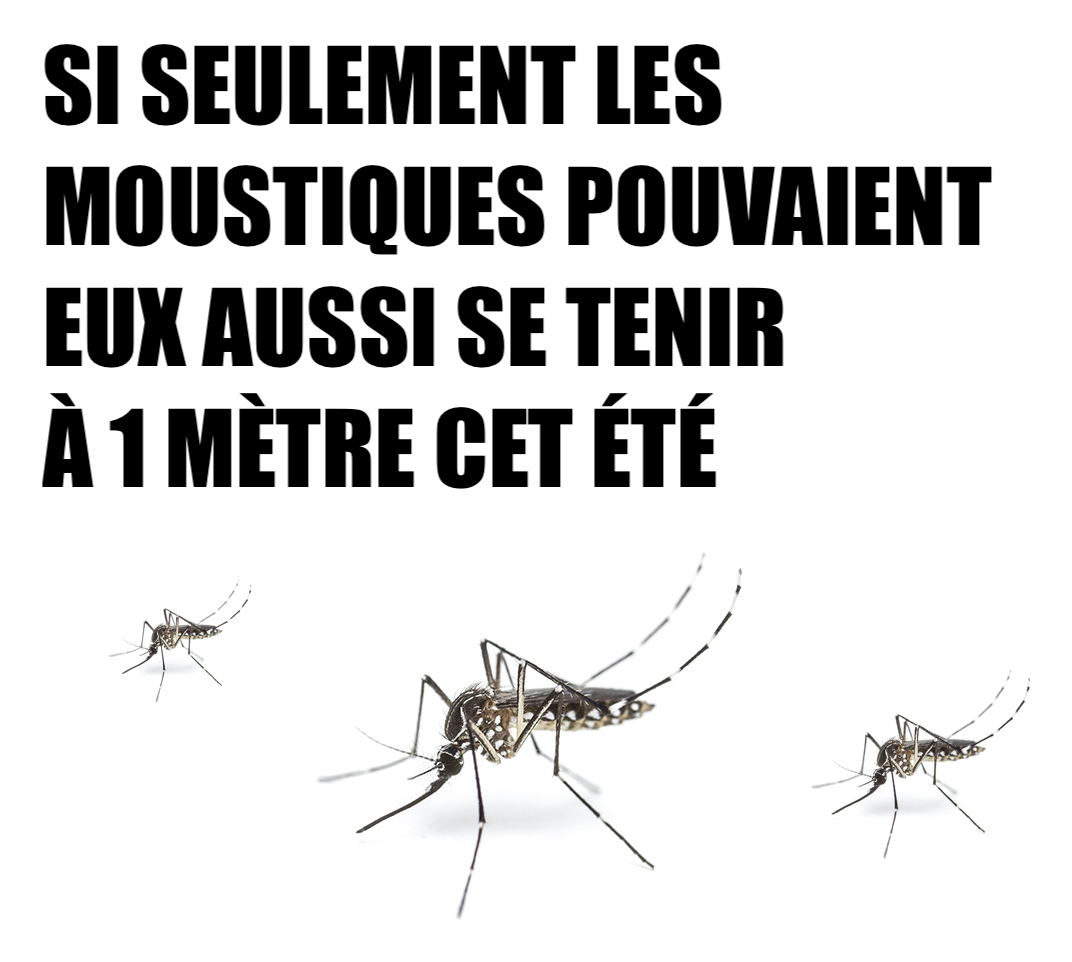 moustique.png