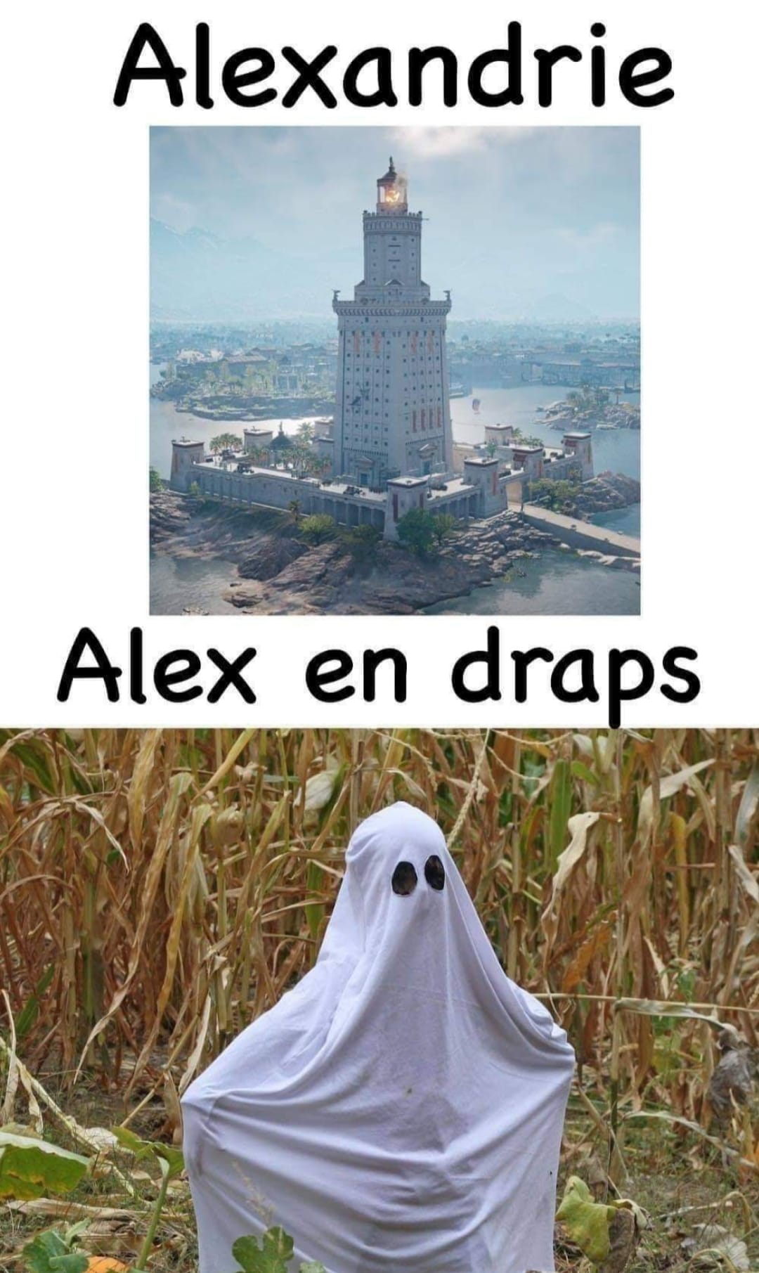 alexandrie.jpg