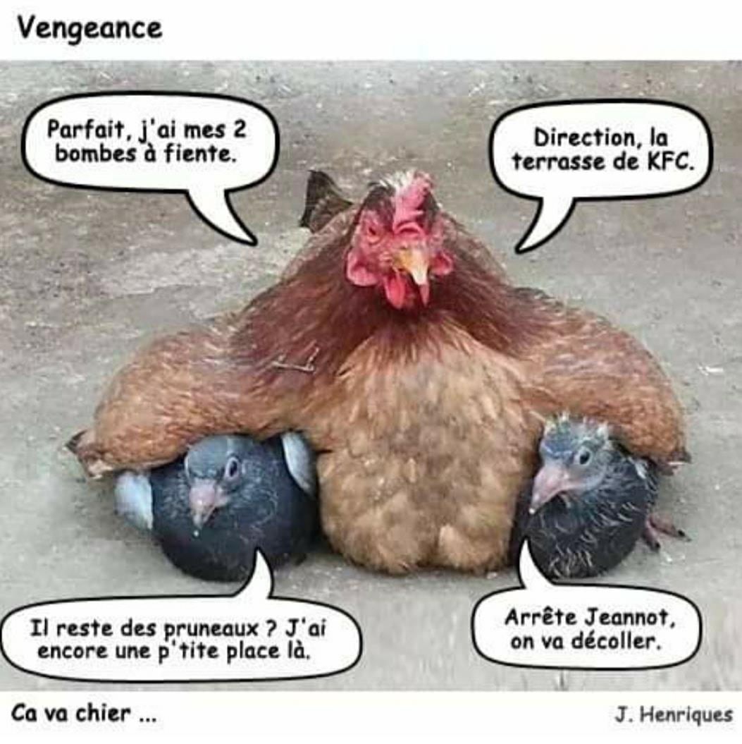kfc.jpg