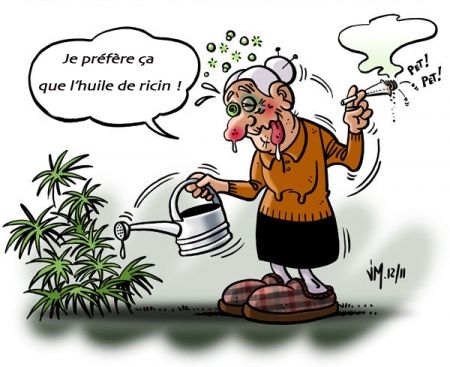 huile de ricin.jpg