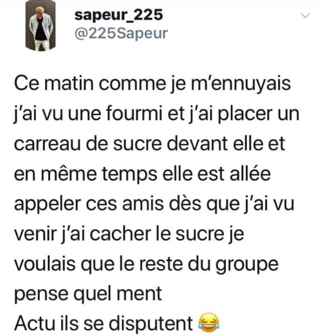 fourmi.jpg