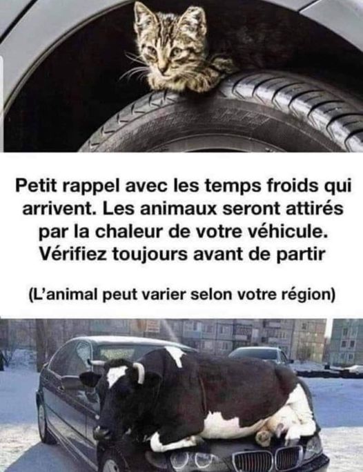 attention avec le froid.jpg