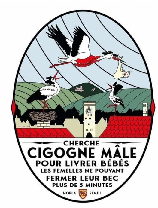 cigogne male.jpg