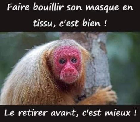 bouillir son masque.jpg