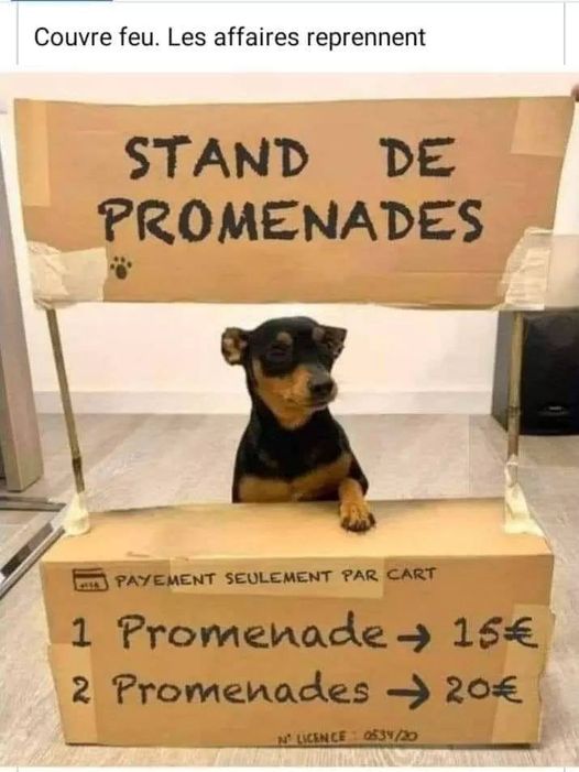 promenades.jpg