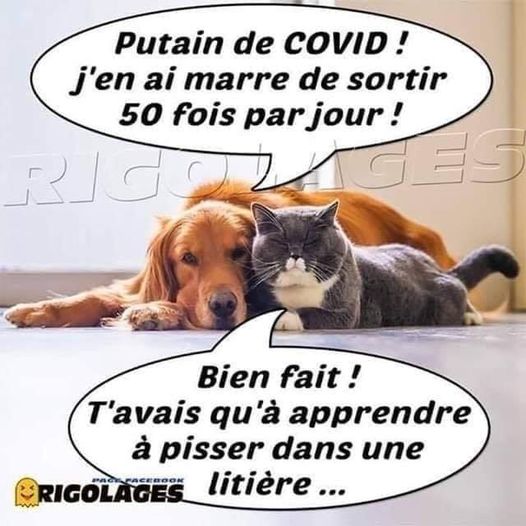 sortir.jpg