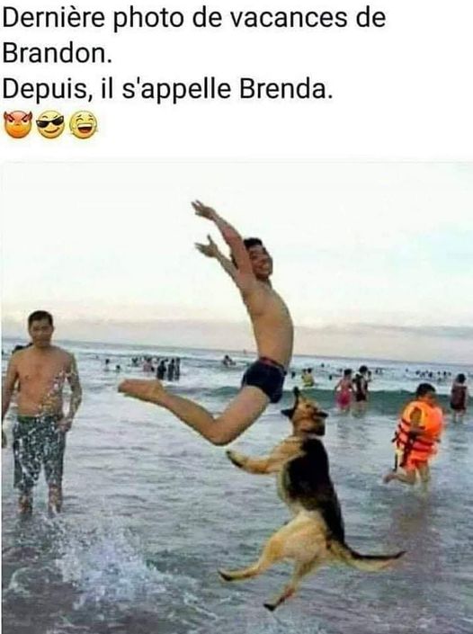 brandon.jpg