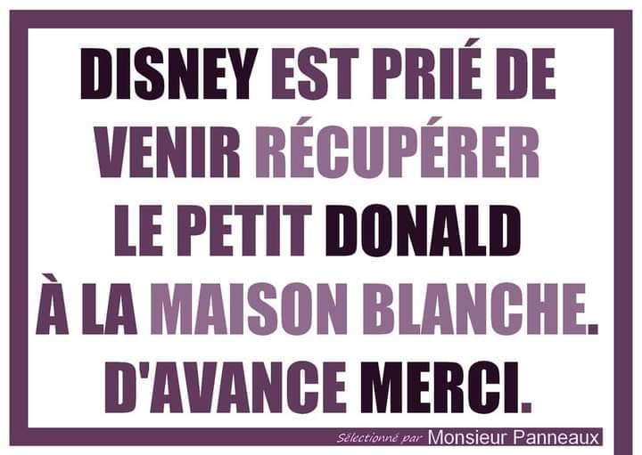 récuperer donald.jpg