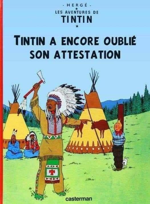 tinin attesta....jpg
