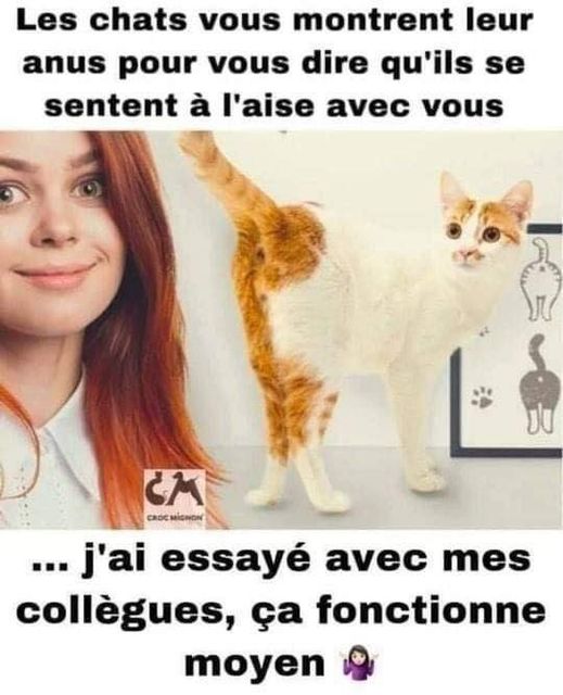 a l aise!!.jpg