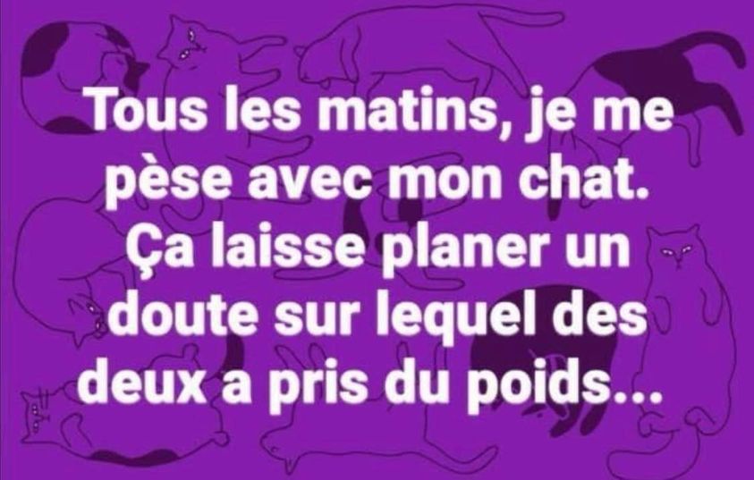pèse avec mon chat.jpg