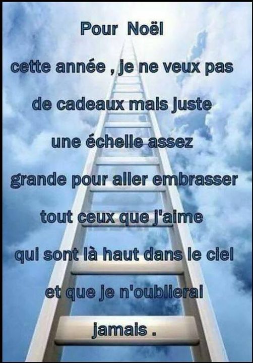 une grande echelle.jpg