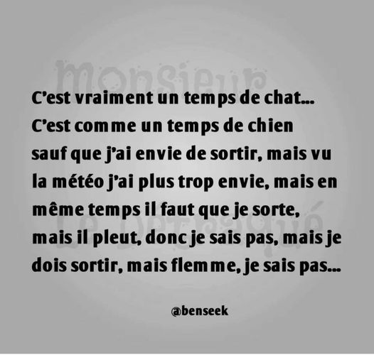 temps de chat.jpg