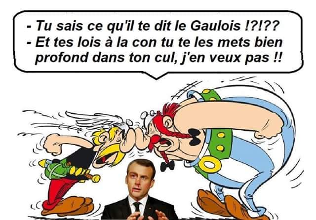 asterix obelix.jpg