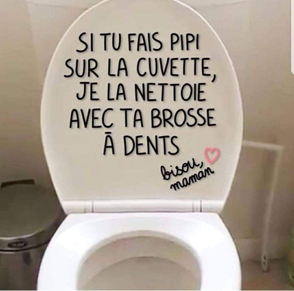 cuvette toilette.jpg