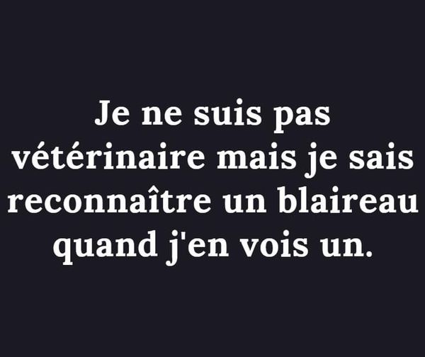 véto.jpg