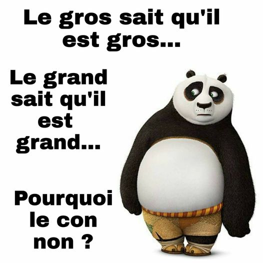 pourquoi!.jpg