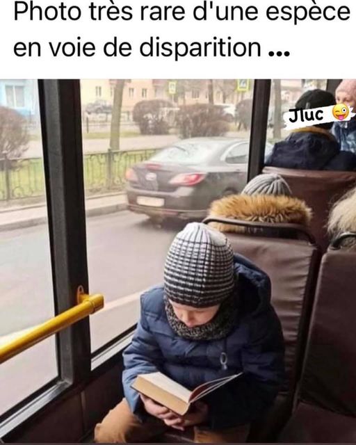 photo tres rare.jpg