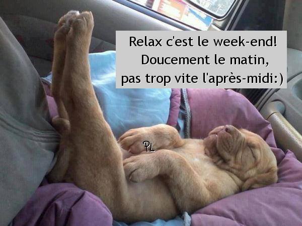 relax.jpg