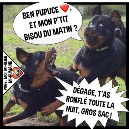 bisous pupuce.jpg