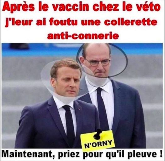 vaccin chez le véto.jpg