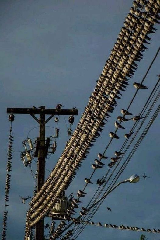 rencontre en ligne.jpg